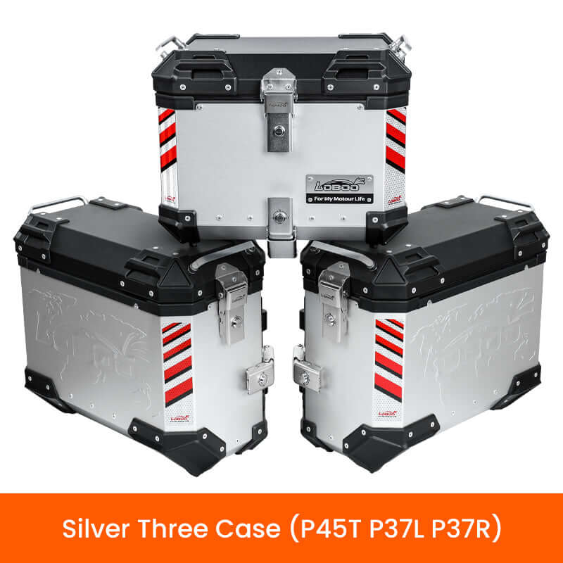 Valigie Laterali per BMW R1300 GS Adventure